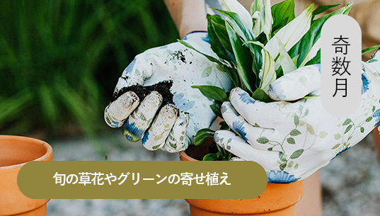 草花の寄せ植え
